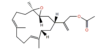 Lobocrassin D